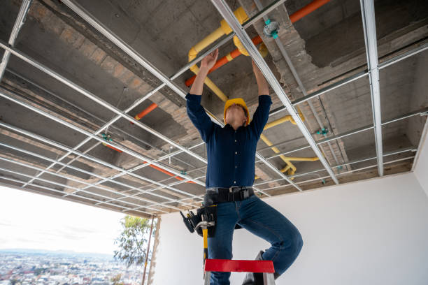 Best Toilet Repair Services  in St Leo, FL