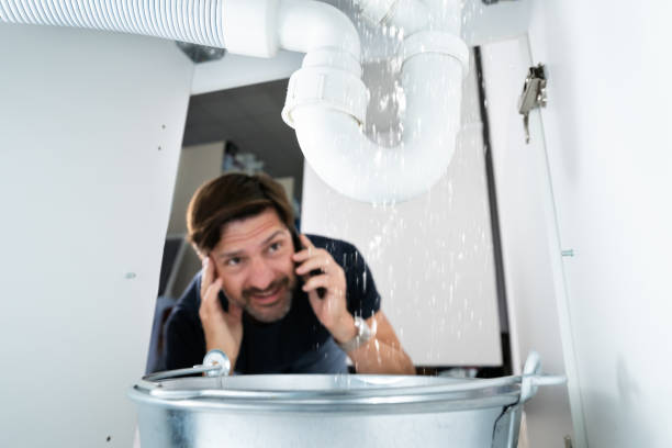 Best Residential Plumbing Services  in St Leo, FL