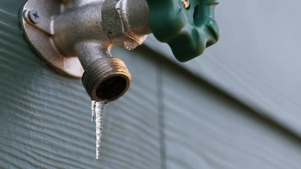 Best Water Leak Repair  in St Leo, FL