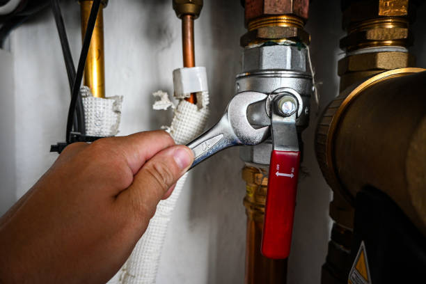 Best Local Plumber Services  in St Leo, FL